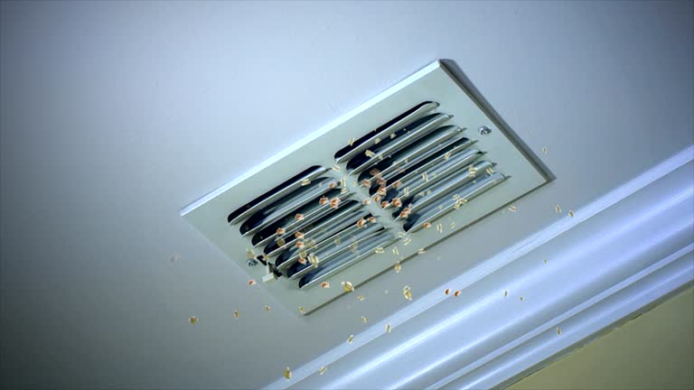 Best Air Duct Inspection  in Winfield, AL