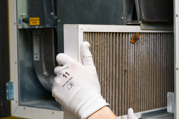 Best Duct Cleaning for Homes  in Winfield, AL